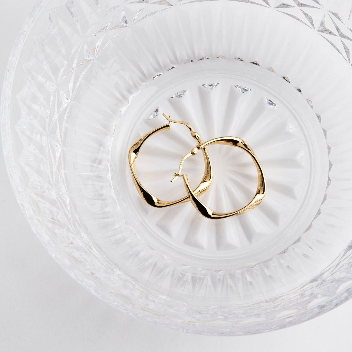 Garden of Eden Hoop Earrings